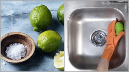 02593967 FABA 4C81 B569 08B4CAD8F299