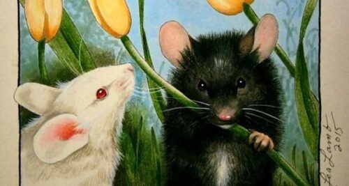 3 tuoi den nhat quy mao 2023 dung dau cung mat tien cua na khong canh ma bay 224606