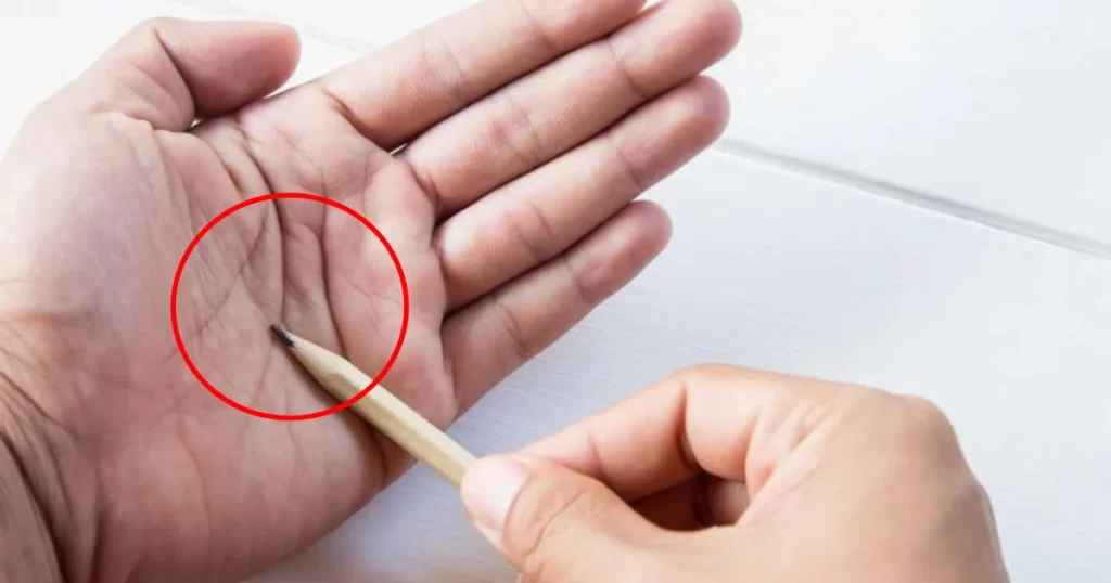 long ban tay co 6 diem nay la hong phuc troi ban so huu 1 6 cung du may man giau sang hon nguoi 115404