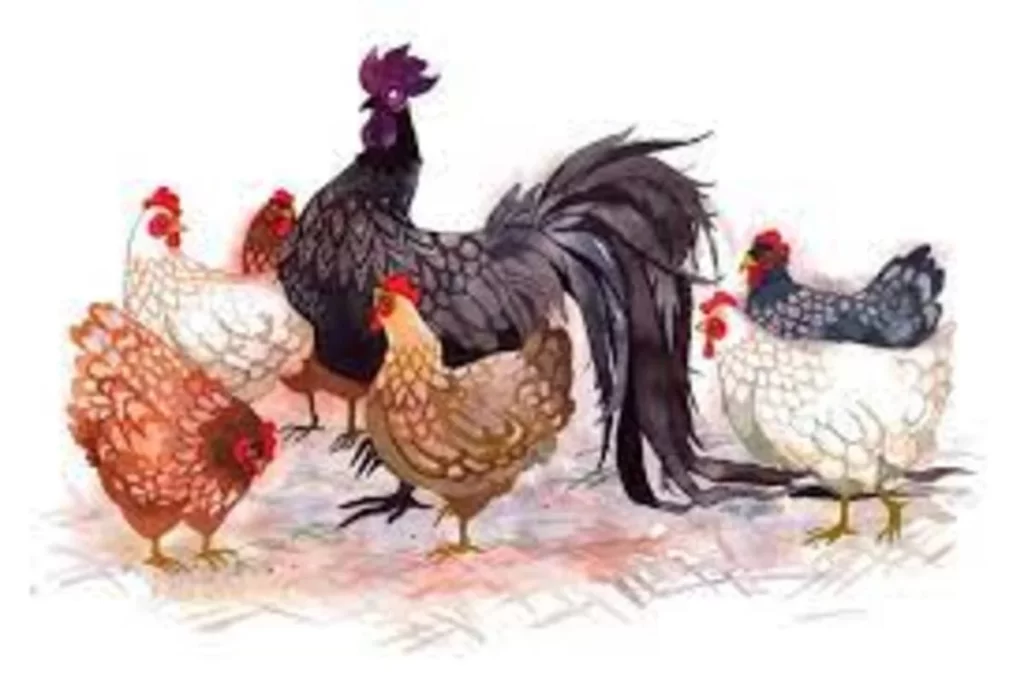 tu nay toi tet nguyen dan 2023 4 tuoi hut can loc troi doi doi giau co 1 tuoi chat vat kiem tung dong 103500