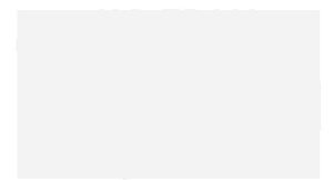 Lodgis Hospitality Holdings.